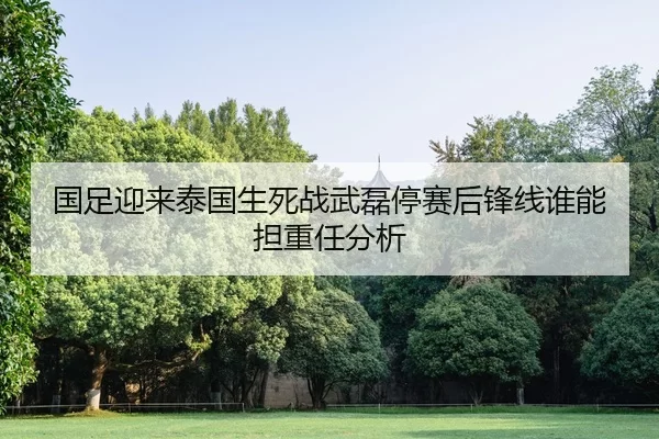 国足迎来泰国生死战武磊停赛后锋线谁能担重任分析